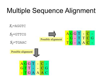 Multiple Sequence Alignment S 1 = AGGTC S 2 = GTTCG S 3 = TGAAC Possible alignment A-TA-T GGGGGG G--G-- TTATTA -TA-TA CCCCCC -G--G- AG-AG- GTTGTT GTGGTG.