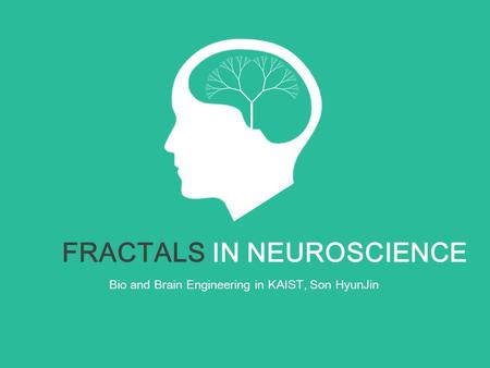 FRACTALS IN NEUROSCIENCE Bio and Brain Engineering in KAIST, Son HyunJin.