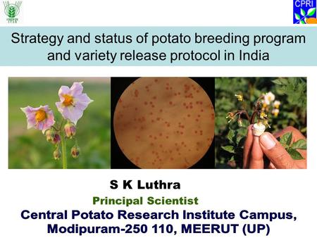 Central Potato Research Institute Campus,