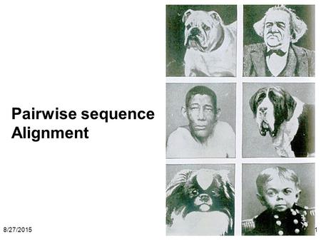 8/27/20151 Pairwise sequence Alignment. 8/27/20152 Many of the images in this power point presentation are from Bioinformatics and Functional Genomics.