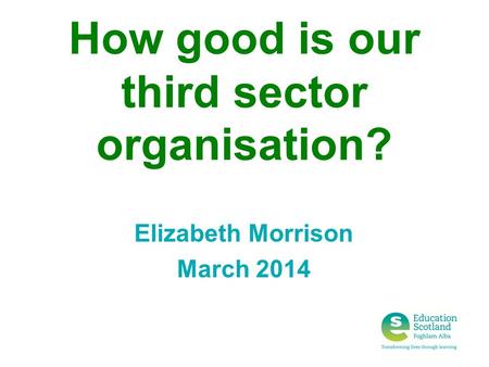 How good is our third sector organisation? Elizabeth Morrison March 2014.