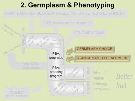 GENOME SCANS New QTLs discovered Breeding markers Screening services Marker priorities Crossing scheme Trial MASS Socio-economics information DNA information.