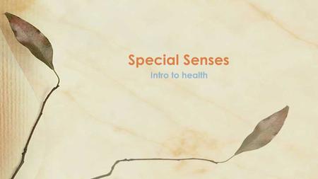 Intro to health Special Senses. Description of the Special Senses Smell Smell – Smell occurs when specialized cells in the nose (chemoreceptors) detect.