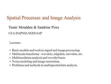 Spatial Processes and Image Analysis