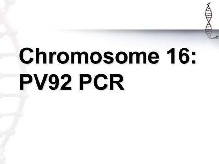 Chromosome 16: PV92 PCR. What is PCR? DNA replication gone crazy in a tube!DNA replication gone crazy in a tube! Makes many copies of target sequence.