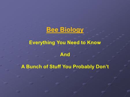 Bee Biology Everything You Need to Know And A Bunch of Stuff You Probably Don’t.