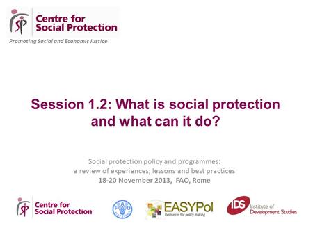 Social protection policy and programmes: a review of experiences, lessons and best practices 18-20 November 2013, FAO, Rome Promoting Social and Economic.