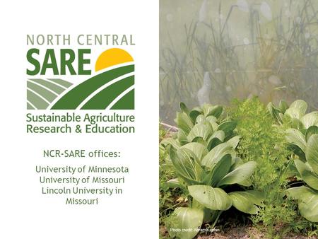 NCR-SARE offices: University of Minnesota University of Missouri Lincoln University in Missouri Photo credit: Abram Kaplan.