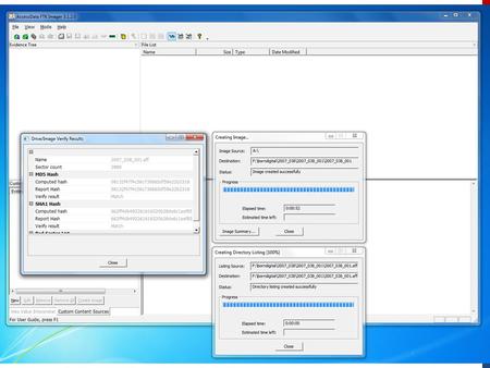 Issue: Unknown / Unrecognized Filesystems Initial Analysis Extract Metadata Identify Restricted Info Identify Duplicates Generate Reports.