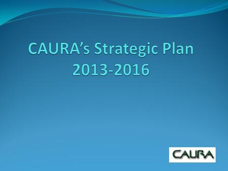 Strategic Plan Overview 1) Professional Development 2) Special Interest Groups 3) Conference Planning 4) Advocacy and Agency Liaison 5) Organizational.