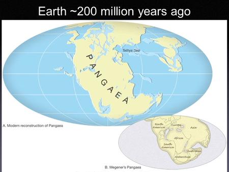 Earth ~200 million years ago. The Geologic Time Scale Based on *Fossils *Correlation Later *Calibrated with radiometric dating.