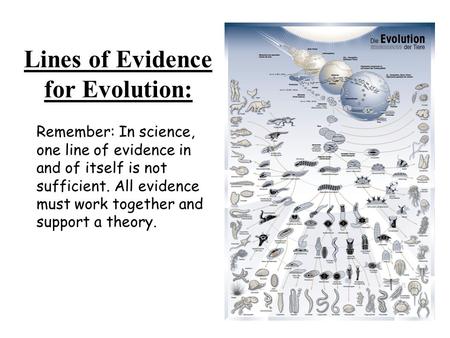 Remember: In science, one line of evidence in and of itself is not sufficient. All evidence must work together and support a theory. Lines of Evidence.