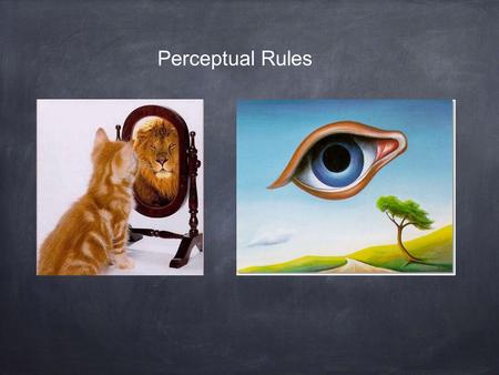 Perceptual Rules. Our visual system always has to compute a solid object given definite limitations in the evidence that the eye is able to obtain from.