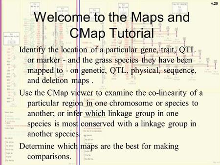 1 Identify the location of a particular gene, trait, QTL or marker - and the grass species they have been mapped to - on genetic, QTL, physical, sequence,