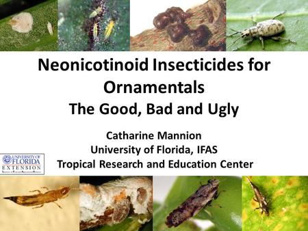 Neonicotinoid Insecticides for Ornamentals The Good, Bad and Ugly Catharine Mannion University of Florida, IFAS Tropical Research and Education Center.