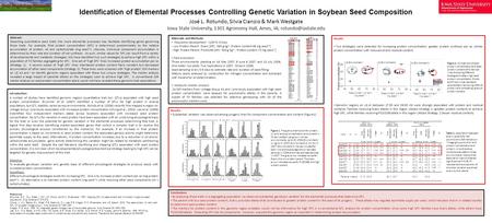 Identification of Elemental Processes Controlling Genetic Variation in Soybean Seed Composition José L. Rotundo, Silvia Cianzio & Mark Westgate Iowa State.