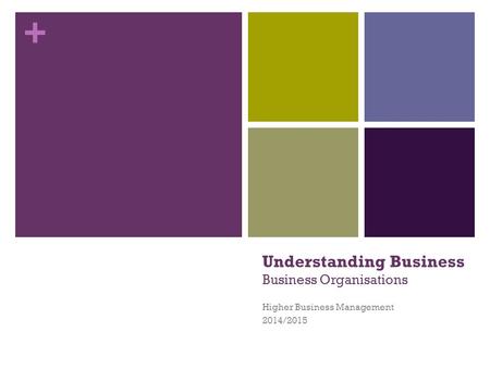 Understanding Business Business Organisations