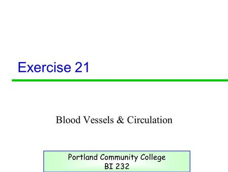 Blood Vessels & Circulation