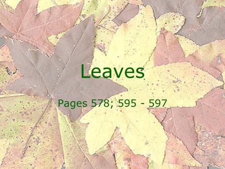 Leaves Pages 578; 595 - 597.