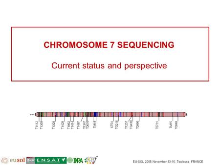 EU-SOL 2008 November 13-16, Toulouse, FRANCE CHROMOSOME 7 SEQUENCING Current status and perspective TG216 TG438 T1112 T1355 T1328 T1428 T1962 T1414 T1497.