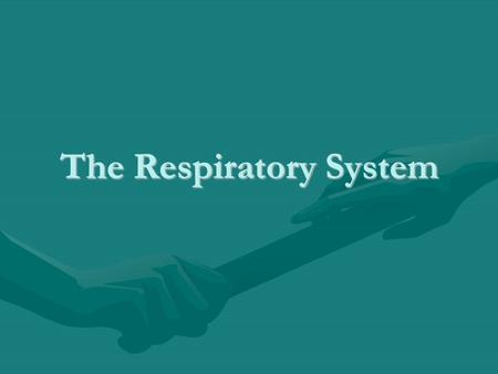 The Respiratory System. Describe the connection between the circulatory and respiratory systems. Pulmonary Arteries pick up Oxygen and drop off carbon.