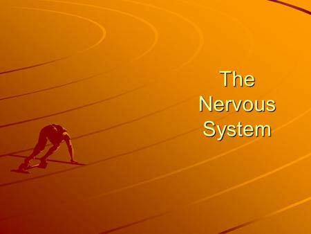 The Nervous System.