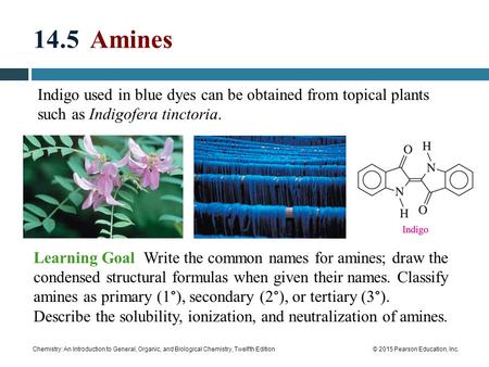 Chemistry: An Introduction to General, Organic, and Biological Chemistry, Twelfth Edition© 2015 Pearson Education, Inc. 14.5 Amines Indigo used in blue.