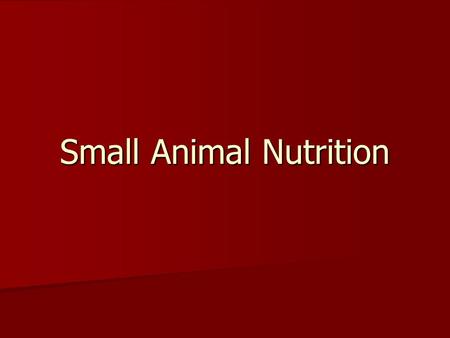 Small Animal Nutrition