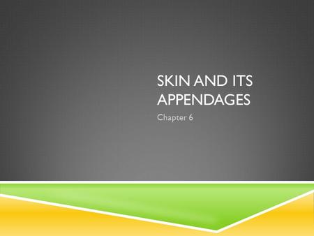 Skin and Its Appendages