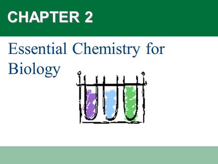 Essential Chemistry for Biology