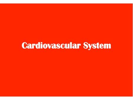 The Cardiovascular System