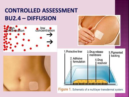 Controlled Assessment  BU2.4 – Diffusion