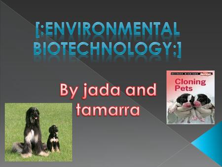  Cloning is the creation of an organism that is an exact copy of the other. This means that every single bit of DNA is the same between those two. 