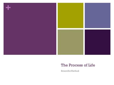 + The Process of Life Scientific Method. + Observation Scientists believe: That nature is orderly and measurable That natural laws do not change over.