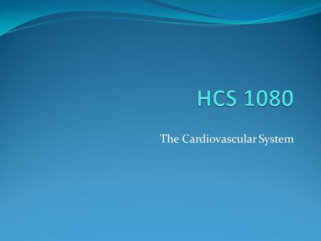 The Cardiovascular System. DIAGRAM OF THE HEART Right Atrium Right Ventricle Left Ventricle Inferior Vena Cava Superior Vena Cava Left Atrium Pulmonary.