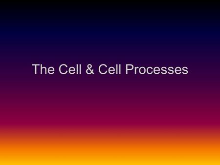 The Cell & Cell Processes. I.Factoids A. You have approximately 7.5 TRILLION cells that make you up. B. 200 different types of cells work together and.