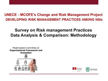 UNECE - MCOFE’s Change and Risk Management Project DEVELOPING RISK MANAGEMENT PRACTICES AMONG NSIs Survey on Risk management Practices Data Analysis &