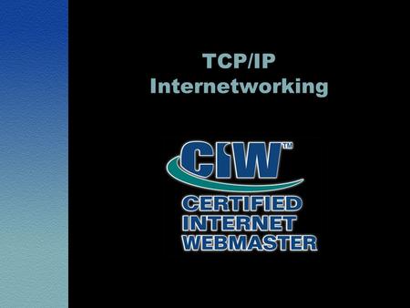 TCP/IP Internetworking. Lesson 1: The Internet Infrastructure.