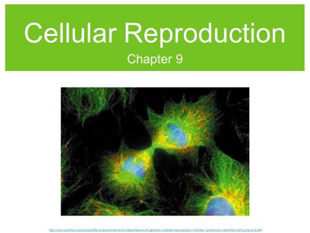 Cellular Reproduction