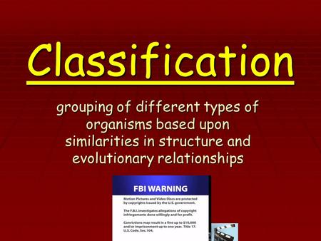 Classification grouping of different types of organisms based upon similarities in structure and evolutionary relationships.