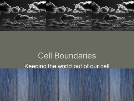 Cell Boundaries Keeping the world out of our cell.