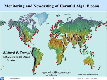 Stumpf et al., 1 Venice Ocean Obs 2009 Monitoring and Nowcasting of Harmful Algal Blooms Richard P. Stumpf NOAA, National Ocean Service Image from whoi.edu/redtide.