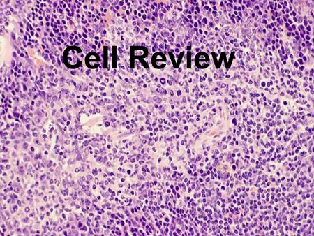 Cell Review.