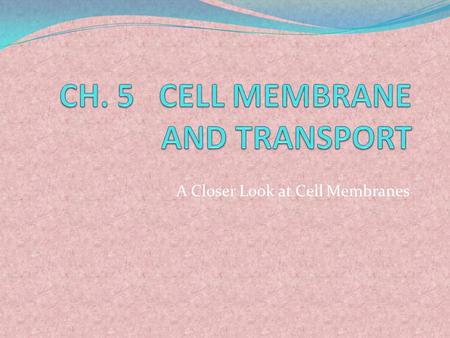 CH. 5 CELL MEMBRANE AND TRANSPORT