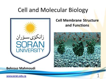 Cell and Molecular Biology