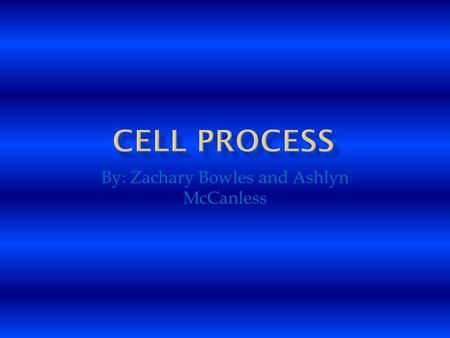 By: Zachary Bowles and Ashlyn McCanless. CCell Organelles pg.2 AActive Transport pg.3 PPassive Transport pg.4 CCellular Respiration pg.5 FFermentation.