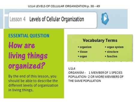 U1L4 LEVELS OF CELLULAR ORGANIZATION p. 38 - 49 U1L4 ORGANISM - 1 MEMBER OF 1 SPECIES POPULATION- 2 OR MORE MEMBERS OF THE SAME POPULATION.