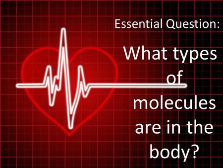 Essential Question: What types of molecules are in the body?