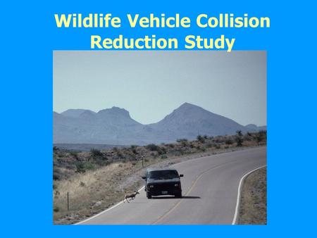 Wildlife Vehicle Collision Reduction Study