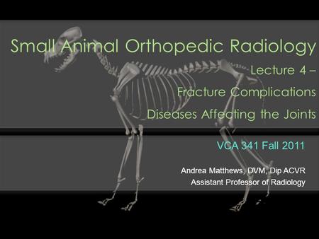 Small Animal Orthopedic Radiology Lecture 4 –